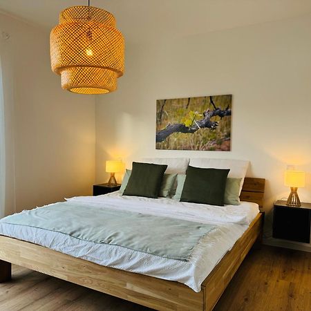 Moderne Ferienwohnung Mit Terrasse, Grill & Privatparkplatz Venningen Екстериор снимка